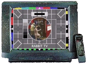 naked man testcard