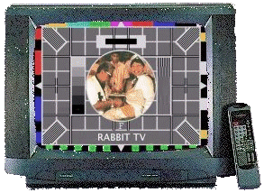 circumcision testcard
